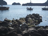 i Trezza-20110311 033